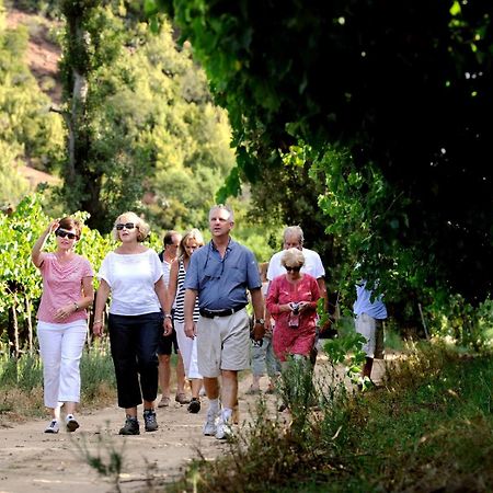 Mymering Wine & Guest Estate Ladismith Dış mekan fotoğraf