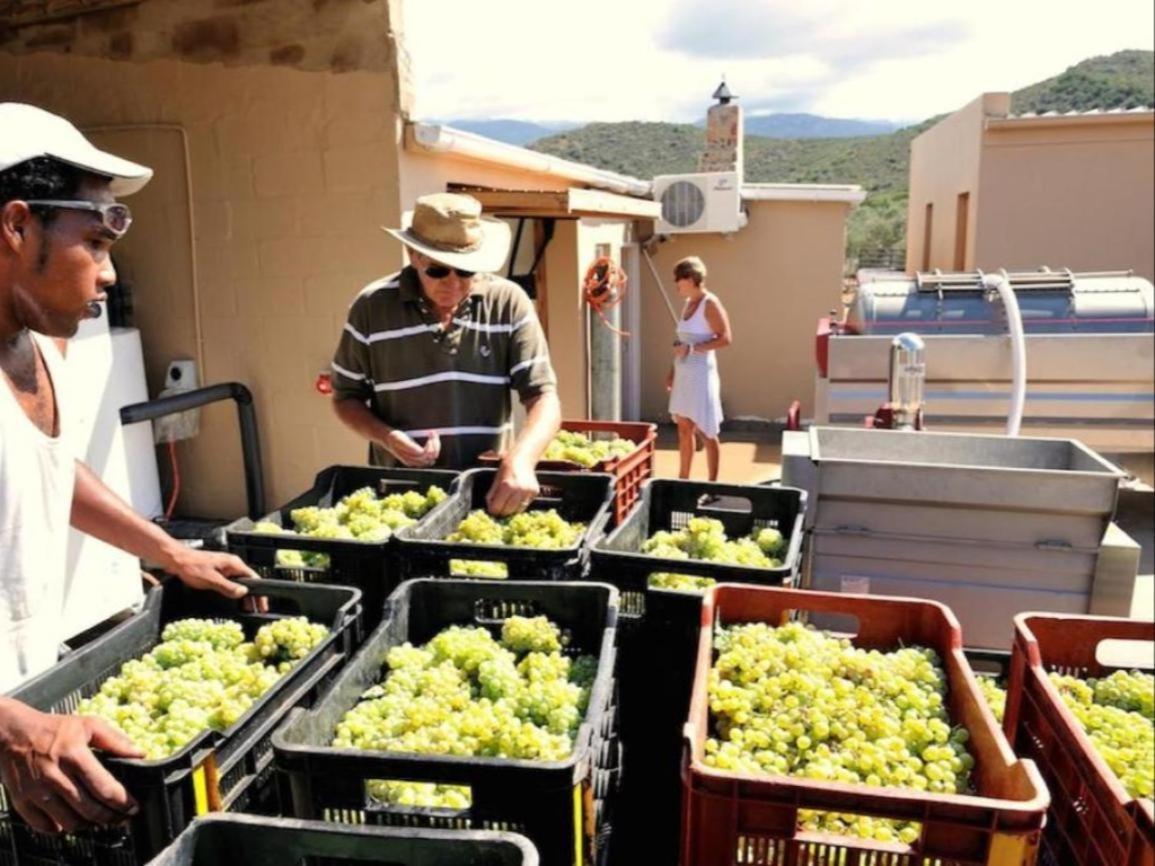 Mymering Wine & Guest Estate Ladismith Dış mekan fotoğraf