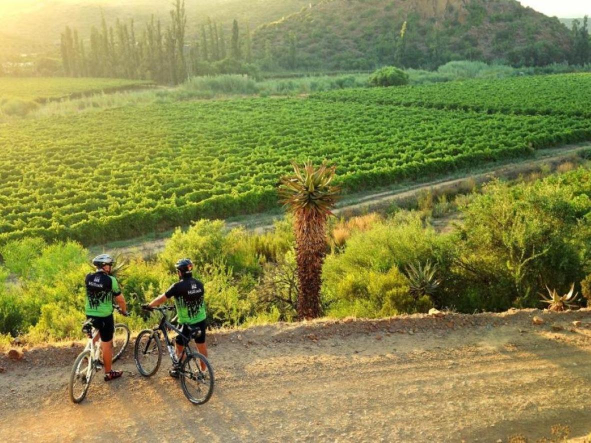 Mymering Wine & Guest Estate Ladismith Dış mekan fotoğraf