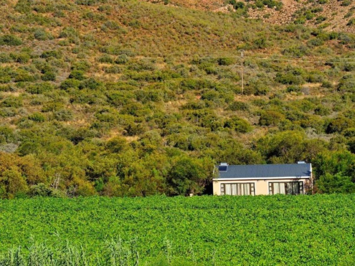 Mymering Wine & Guest Estate Ladismith Dış mekan fotoğraf