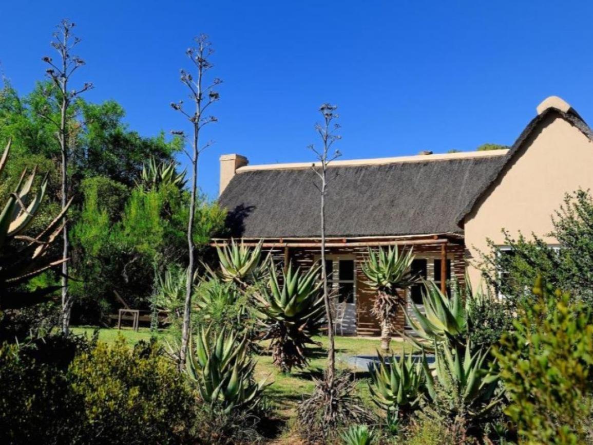 Mymering Wine & Guest Estate Ladismith Oda fotoğraf