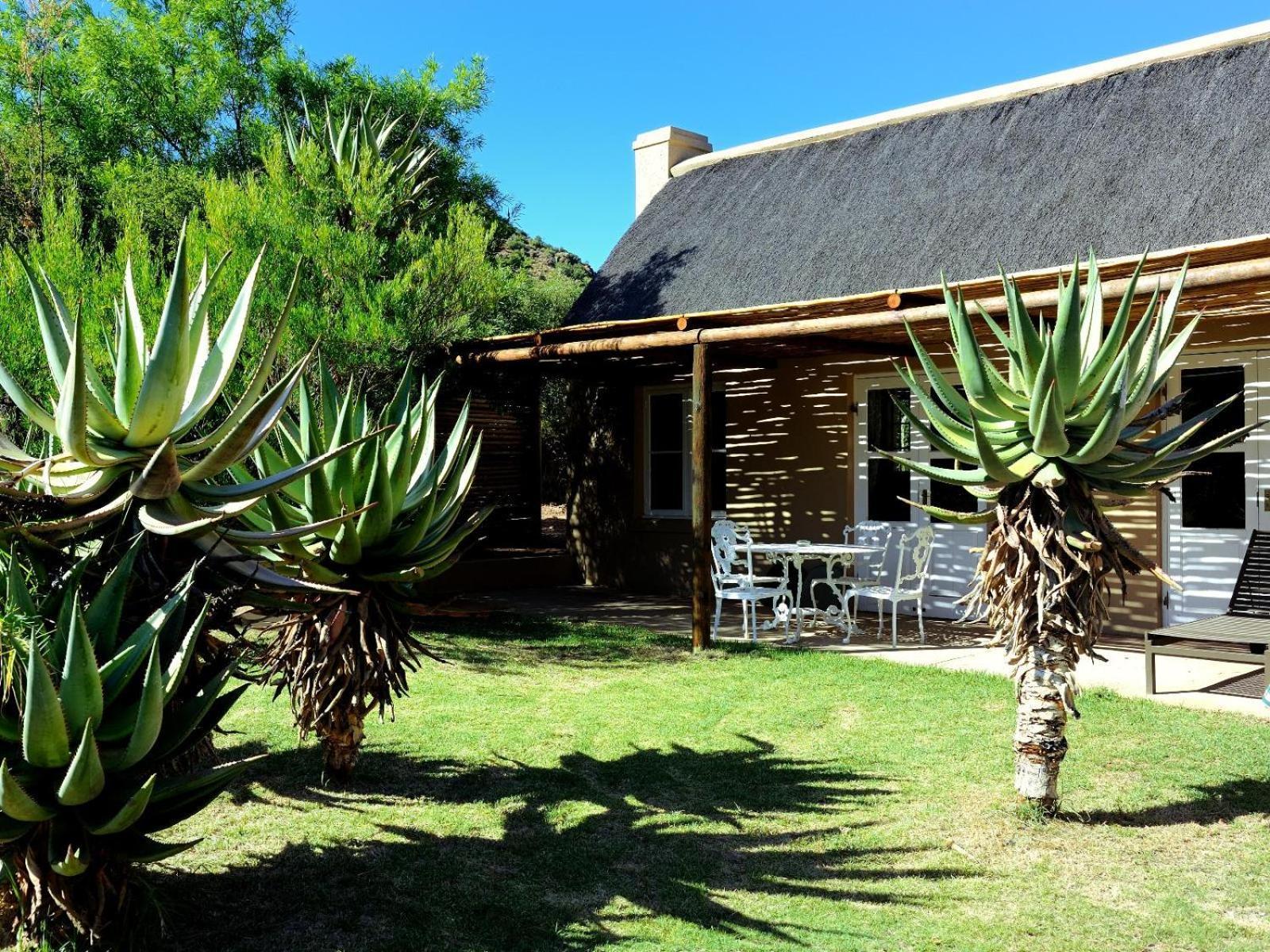 Mymering Wine & Guest Estate Ladismith Oda fotoğraf